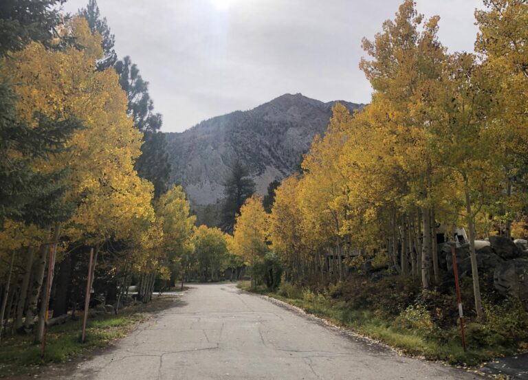 On The Road - UncleEbeneezer - Golden Sierra 2023: Aspendell (Part 4 of 4) 7
