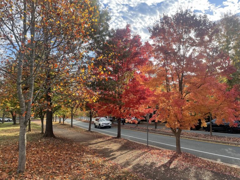 On The Road - BretH - Fall Colors, Virginia Piedmont 4