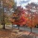 On The Road - BretH - Fall Colors, Virginia Piedmont 4