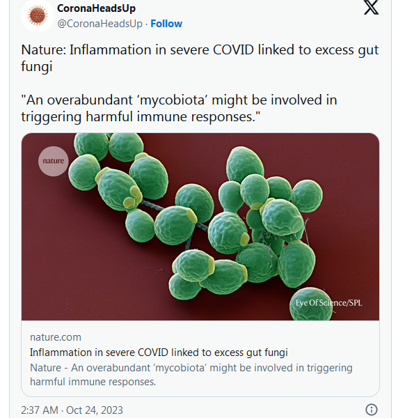COVID-19 Coronavirus Updates: October 25, 2023 13
