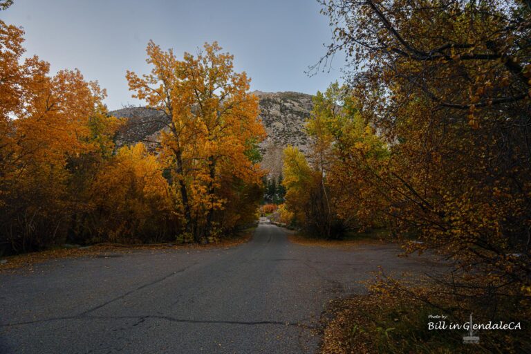 On The Road - BillinGlendaleCA - Fall on the North Fork of Big Pine Creek 9