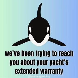 I, For One, Welcome Our New Orca Overlords...