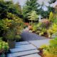 On The Road - Dan B - A garden on Whidbey, main collector's garden 4