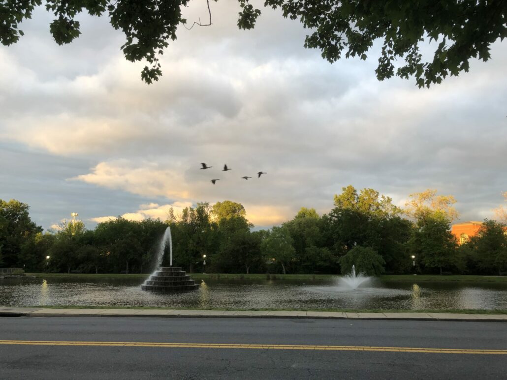 On The Road - David_C - In My Neighborhood - Frederick, MD 8