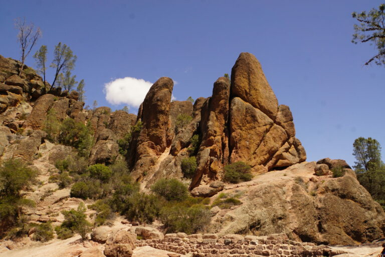 On The Road - frosty - 3rd Annual National Park/COVID Challenge Part 2 - Pinnacles National Park 3