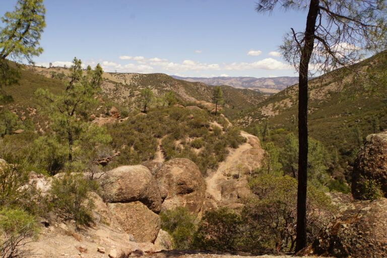 On The Road - frosty - 3rd Annual National Park/COVID Challenge Part 2 - Pinnacles National Park 2