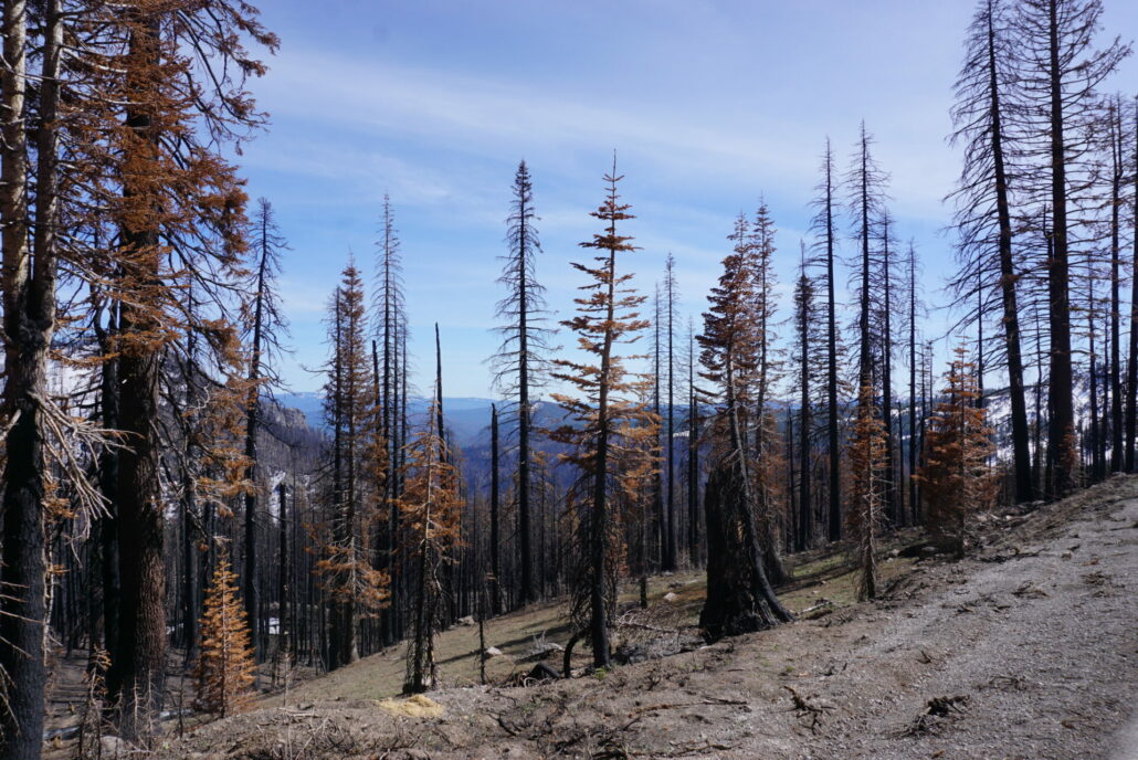 On The Road - frosty - 3rd Annual National Park/COVID Challenge Part 2 - Lassen Volcanic National Park