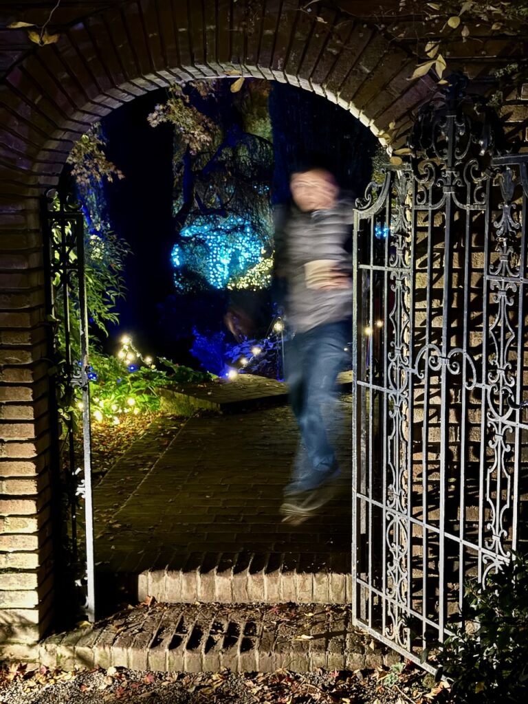 On The Road - Sister Golden Bear - Holiday lights at the Filoli House and Gardens 5