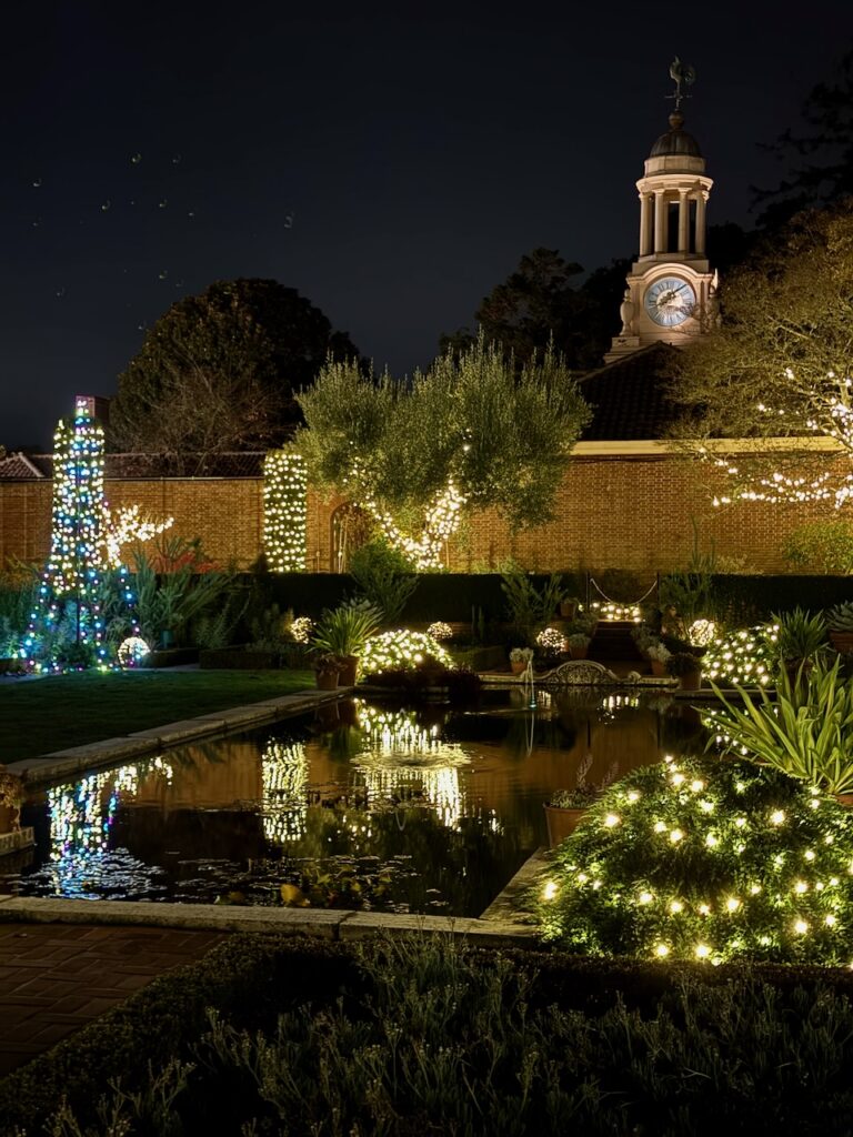 On The Road - Sister Golden Bear - Holiday lights at the Filoli House and Gardens 2