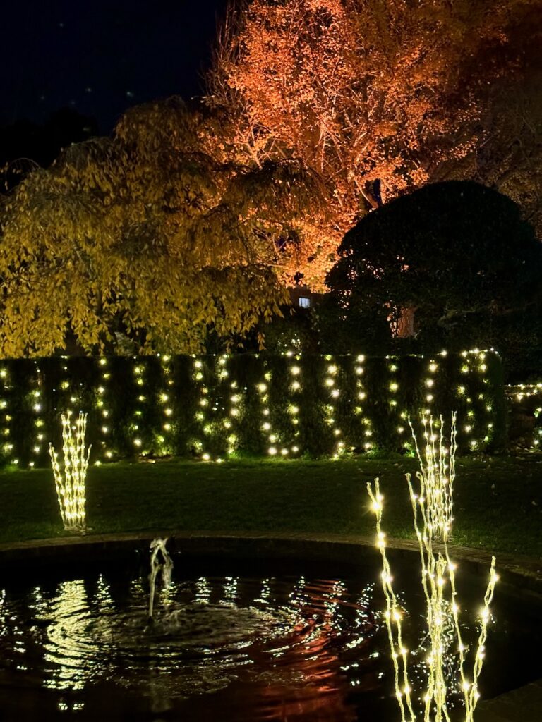 On The Road - Sister Golden Bear - Holiday lights at the Filoli House and Gardens