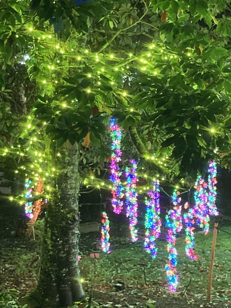 On The Road - SkyBluePink - Winter Lights 2023 3