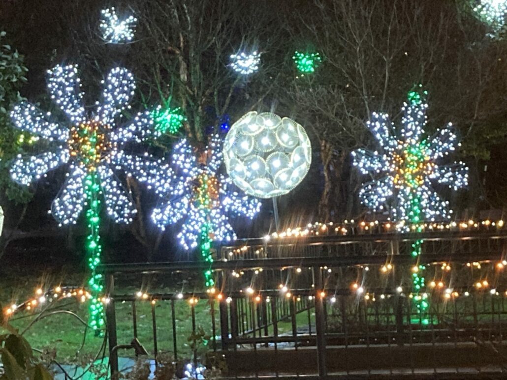 On The Road - SkyBluePink - Winter Lights 2023 6