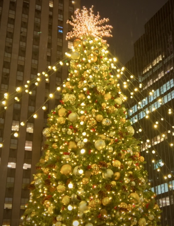 On The Road - ema - NYC Christmas Lights 9