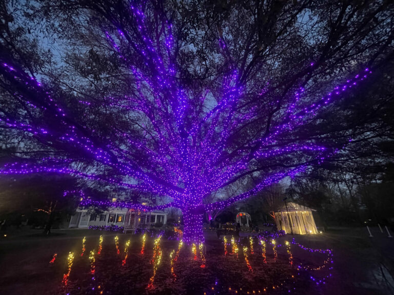 On The Road - BretH - Holiday Lights! Lewis Ginter Botanical Garden in Richmond, VA. 5