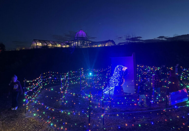 On The Road - BretH - Holiday Lights! Lewis Ginter Botanical Garden in Richmond, VA. 1