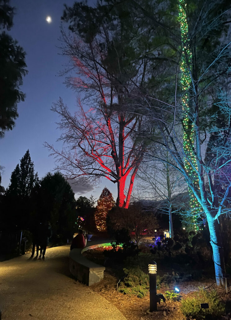 On The Road - BretH - Holiday Lights! Lewis Ginter Botanical Garden in Richmond, VA. 6