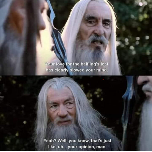 Gandalf disagreeing with Saruman using a line from The Big Lebowski. 