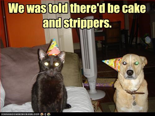 A meme of a black cat on the left and a yellow dog on the right wearing party hats. The caption says "We was told there'd be cake and strippers."