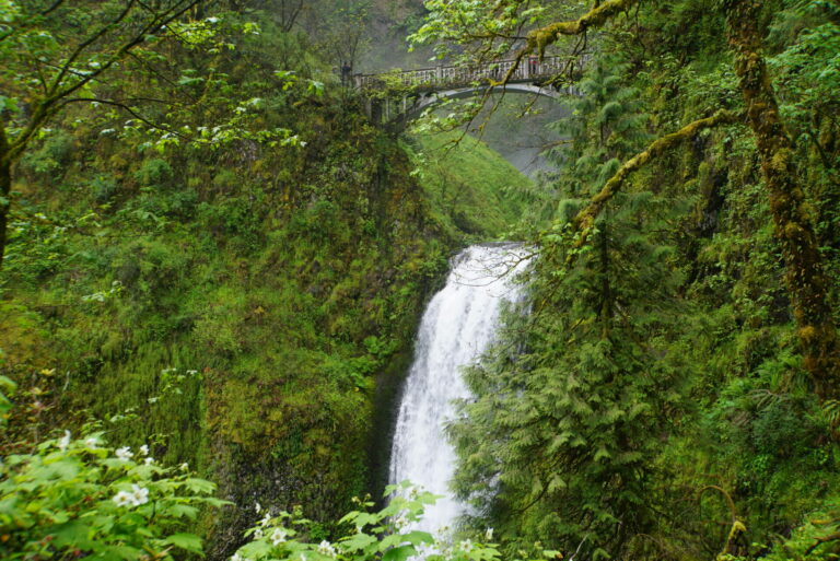 On The Road - frosty - 3rd Annual National Park/COVID Challenge - Oregon - Columbia River Gorge National Scenic Area - Falls 6