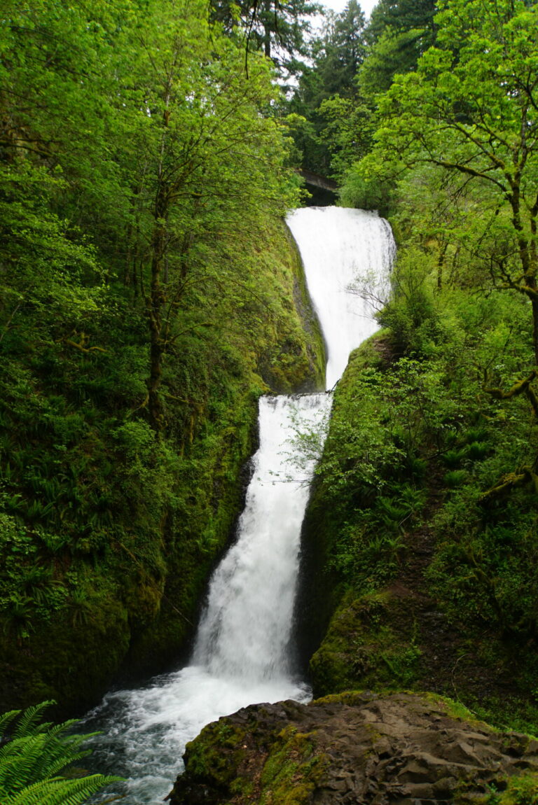 On The Road - frosty - 3rd Annual National Park/COVID Challenge - Oregon - Columbia River Gorge National Scenic Area - Falls 3