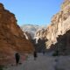 On The Road - TKH - Sinai Trail Part 6 2