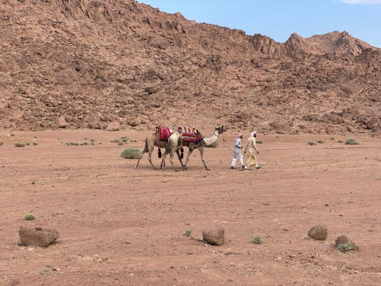 On The Road - TKH - Sinai Trail Part 1 7