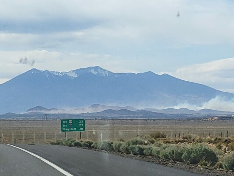 On The Road - Winter Wren - April 2022 in Arizona - Part 2 (of 2) 6
