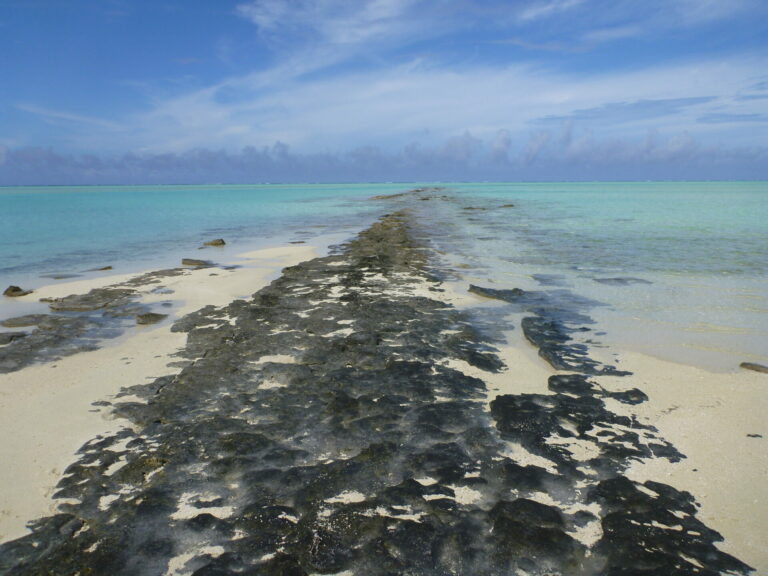 On The Road - way2blue - Aitutaki, Cook Islands   [2 of 3] 2