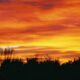 On The Road - Paul in Jacksonville - Sunrise, Sunset Redux 1
