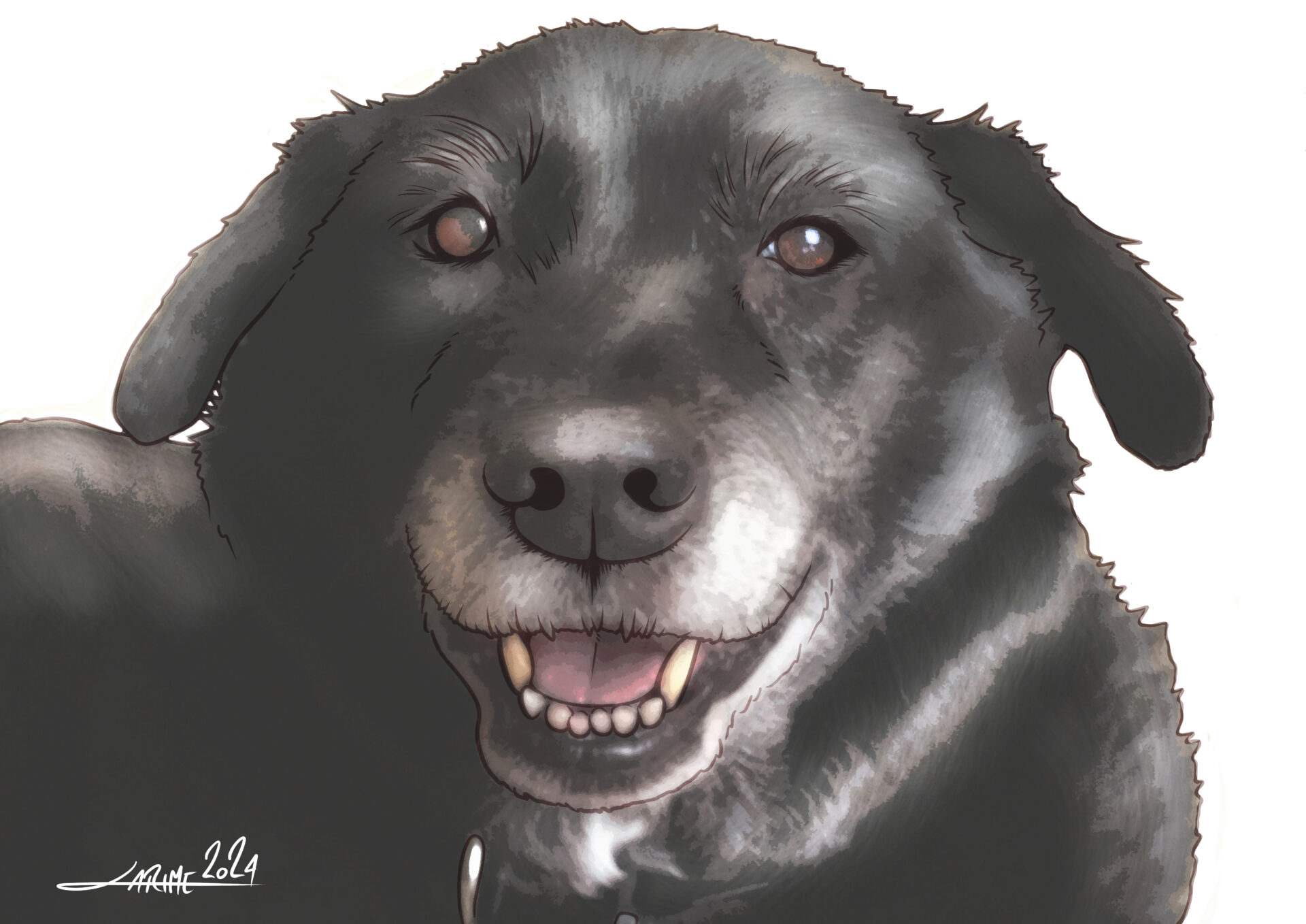 Portrait of Kylie a black Lab/Australian shepherd mix. Kylie has brown eyes and is looking directly into the camera. Her mouth is open and she is smiling. She is about 11 or 12 in the picture this portrait is based on and the white on her muzzle contrasts with the rest of the jet black fur on her face.