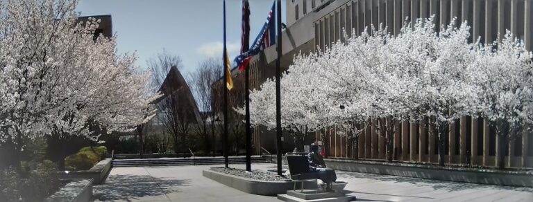 On The Road - JAFD - Cherry Blossoms of Newark, part 1 9
