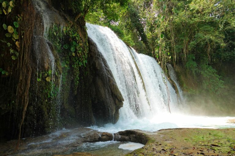 On The Road - lashonharangue - Mayan Ruins and the Sacred Monkey River [3 of 4] 2