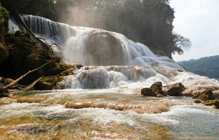 On The Road - lashonharangue - Mayan Ruins and the Sacred Monkey River [3 of 4] 1