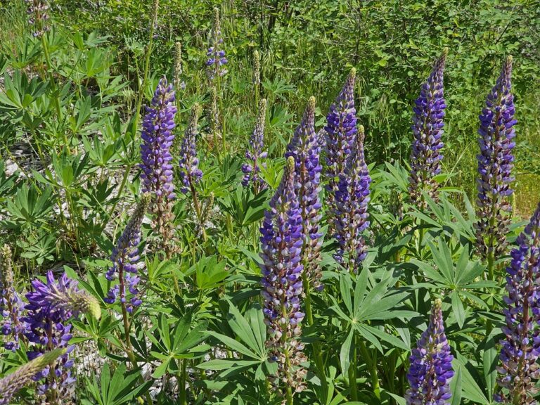 On The Road - PaulB - The Cascade Loop, Part 8