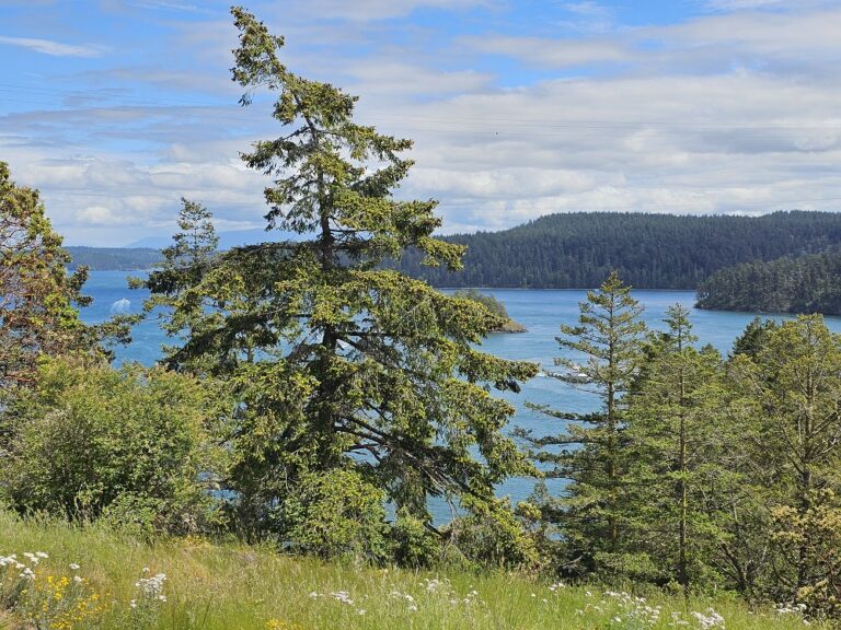 On The Road - PaulB - The Cascade Loop, Part 10 4