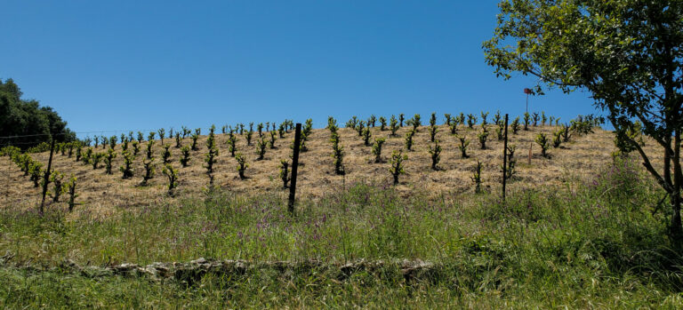 On The Road - PAM Dirac - California Coast - 2024 3