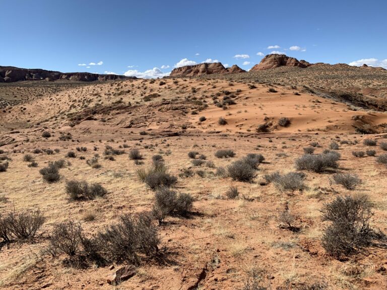 On The Road - snarlymon - Upper Antelope Canyon, Arizona