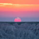 On The Road - Dave Foster - Sunrise in Badlands National Park