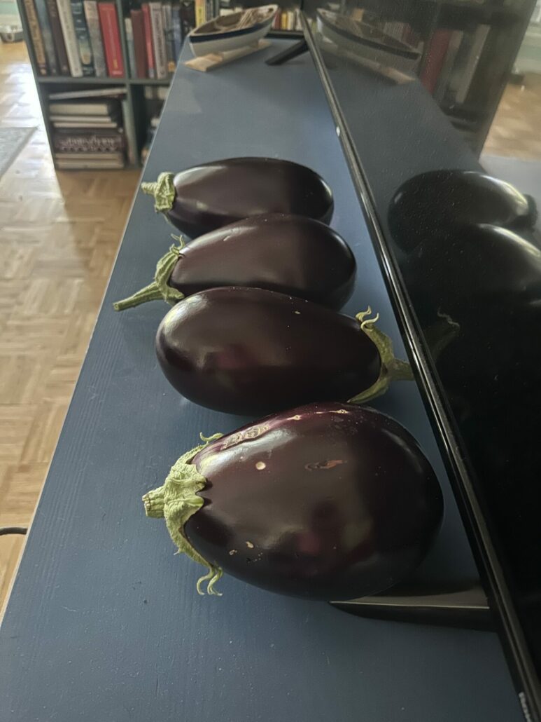 4 eggplants on a shelf