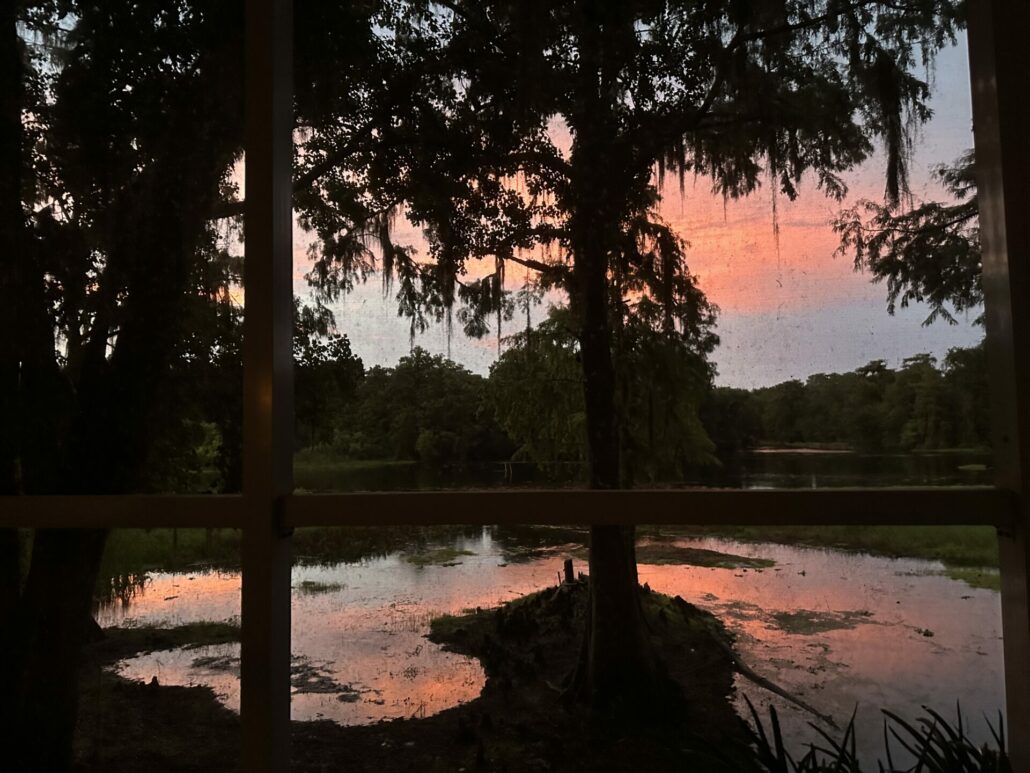 Colorful sunset over the swamp