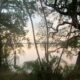 On The Road - lashonharangue - Along the Zambezi River [1 of 2] 7