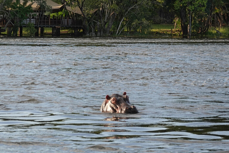 On The Road - lashonharangue - Along the Zambezi River [2 of 2] 7