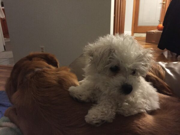 Tuesday Late Night Open Thread