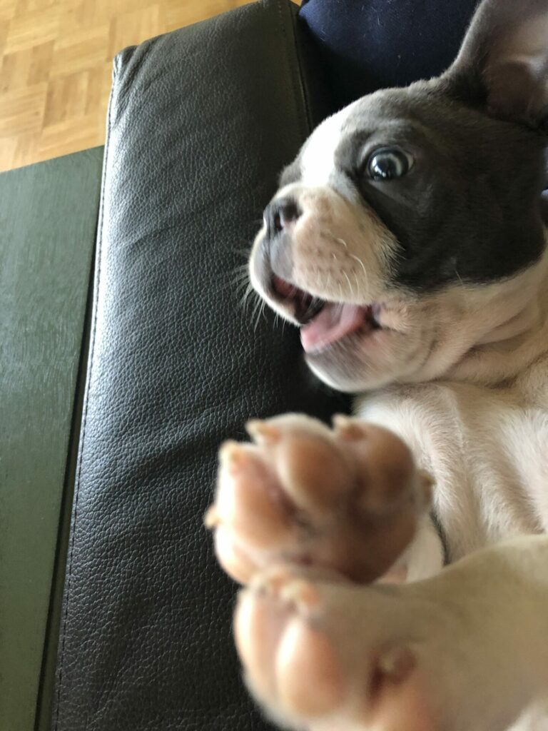 Balloon Juice Wee Hours Open Thread