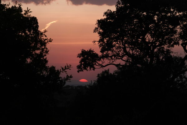 On The Road - swiftfox - Tanzania Safari Part 5 - Mara River and Hot Air Balloon