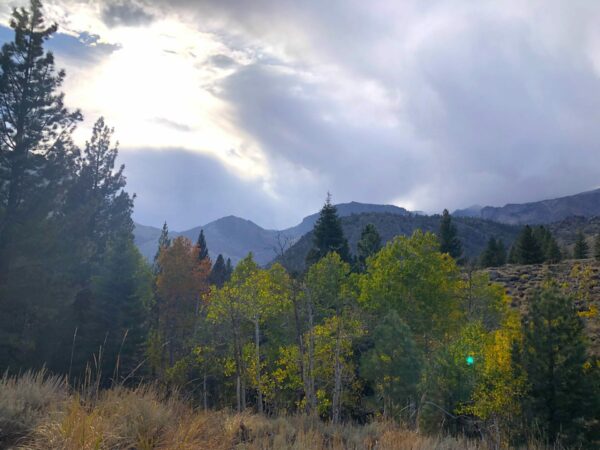On The Road - UncleEbeneezer - Eastern Sierra Fall Foliage 2024- Gull Lake, June Lakes, CA (Part 6/8) 6