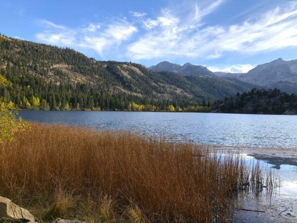 On The Road - UncleEbeneezer - Eastern Sierra Fall Foliage 2024- Gull Lake, June Lakes, CA (Part 6/8) 3