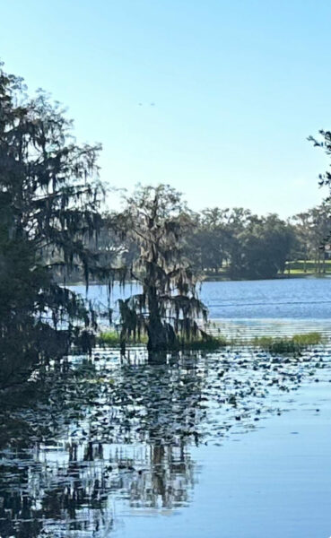 Life In A Eudora Welty Story