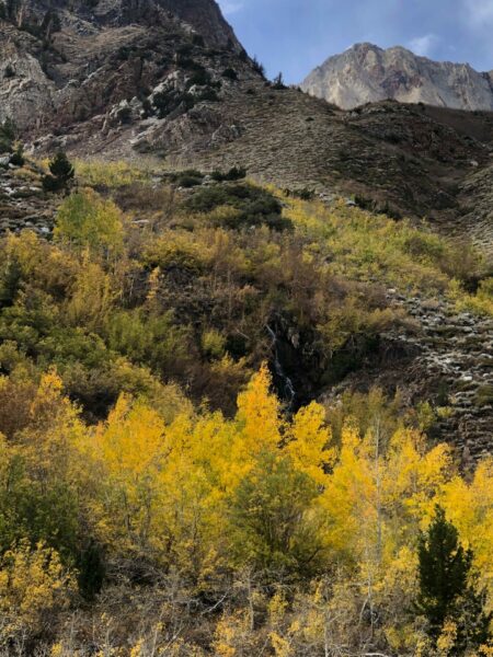 On The Road - UncleEbeneezer - Eastern Sierra Fall Foliage 2024- McGee Creek, CA (Part 7/8) 3