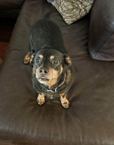 Tuesday Night Open Thread 4